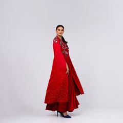 A very elegant dress with luxurious hand embroidery